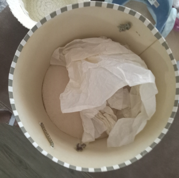 Antique hats and antique hat box - Picture 3 of 13